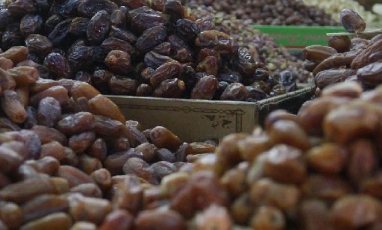 تخوفات من التهريب والتبييض.. انطلاق موسم قطف التمور في أريحا