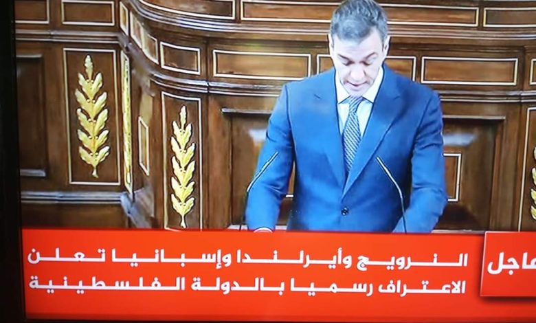 ناشطة: طوفان الأقصى حقق ما لم تنجزه 30 عامًا من المفاوضات