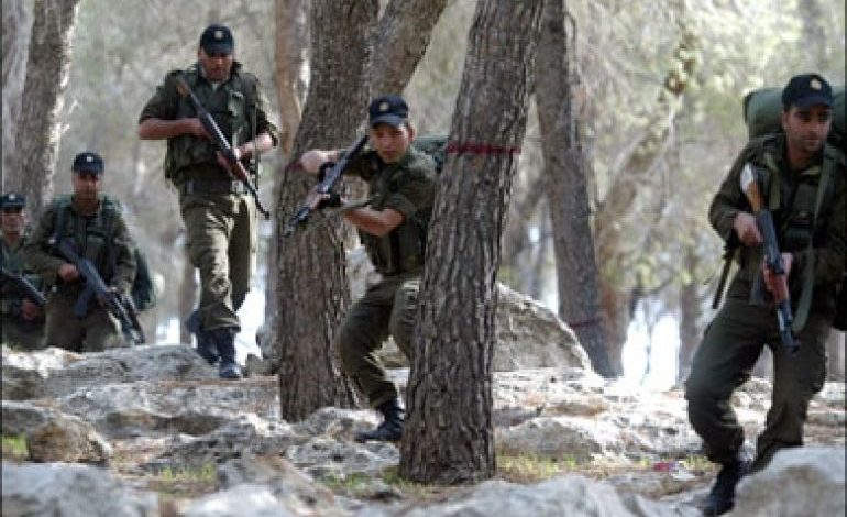 أمن السلطة في 2024.. من الاعتقال السياسي إلى التصفيات المباشرة