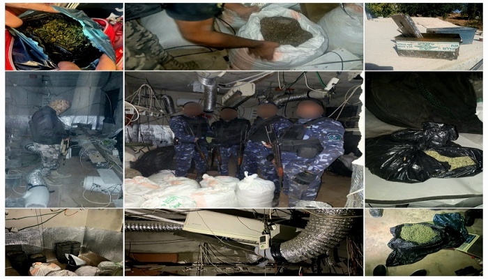 زراعة المخدرات تنتعش في بيت لحم وسط غياب لأجهزة السلطة