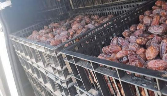 التمور المهربة تغزو أسواق الضفة الغربية مع انطلاق موسم التمور المحلية