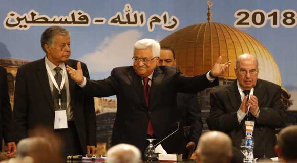 المجلس المركزي بين المهمة الوطنية والإستخدام