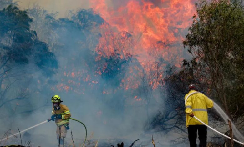 حرائق المستوطنات.. سلاح فعال من أسلحة المقاومة الشعبية