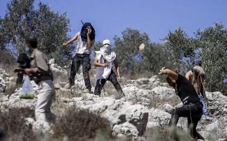 حماس: هجمات المستوطنين التي تستهدف المزارعين تمثل سياسة إرهاب منظّمة