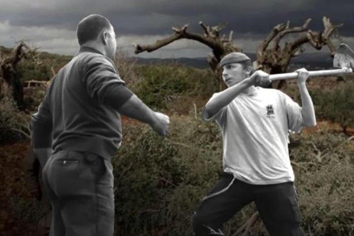 المستوطنون ينكلون بأهالي الضفة والسلطة تكتفي بالتنديد