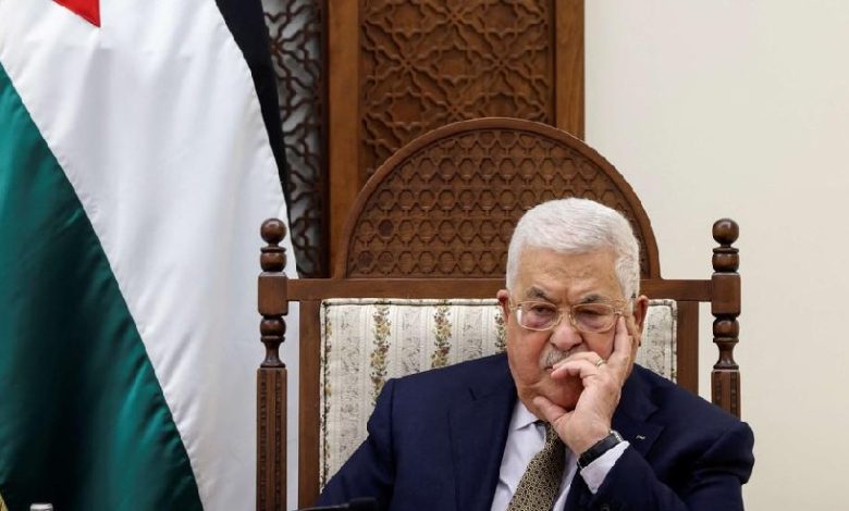 وزير الخارجية المصري: السلطة لن تعود إلى غزة خلال الفترة الانتقالية